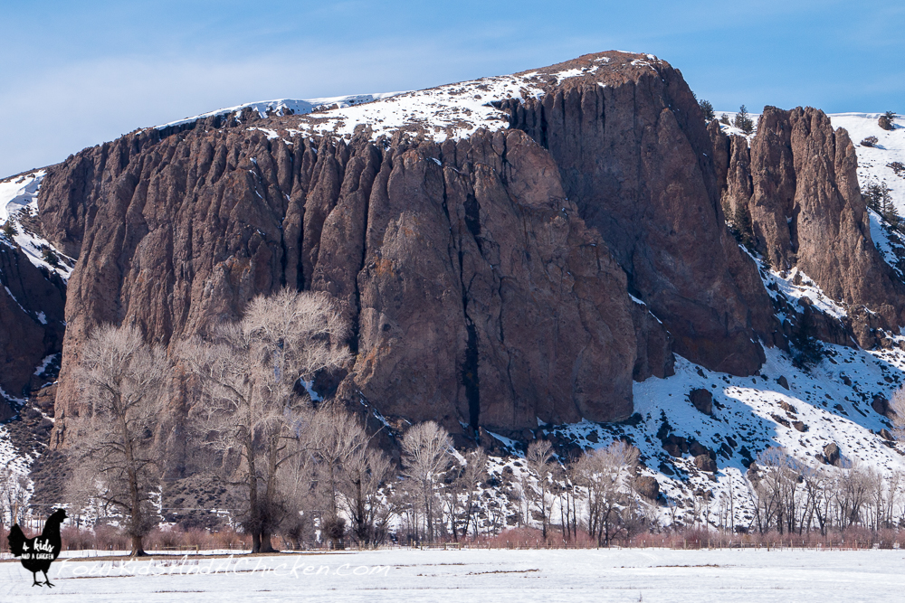 Day Trips In Gunnison Colorado Dan330